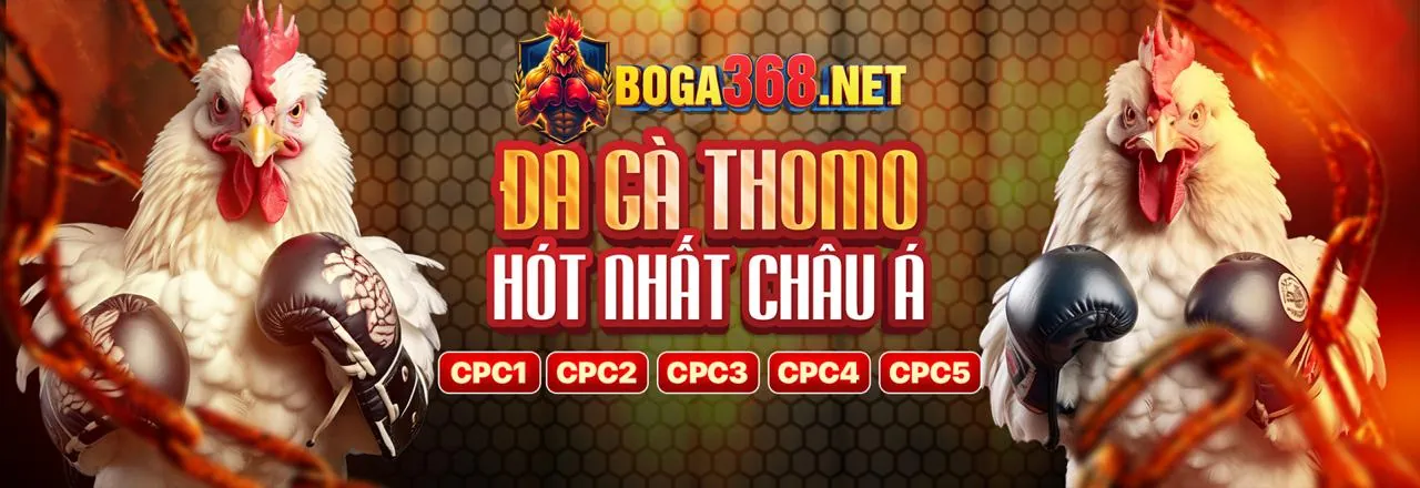 Sự Trỗi Dậy Của 49bet win Trong Lĩnh Vực Cá Cược Trực Tuyến