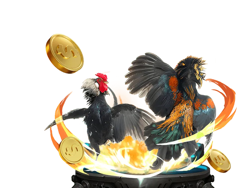 Bánh xe Roulette quay